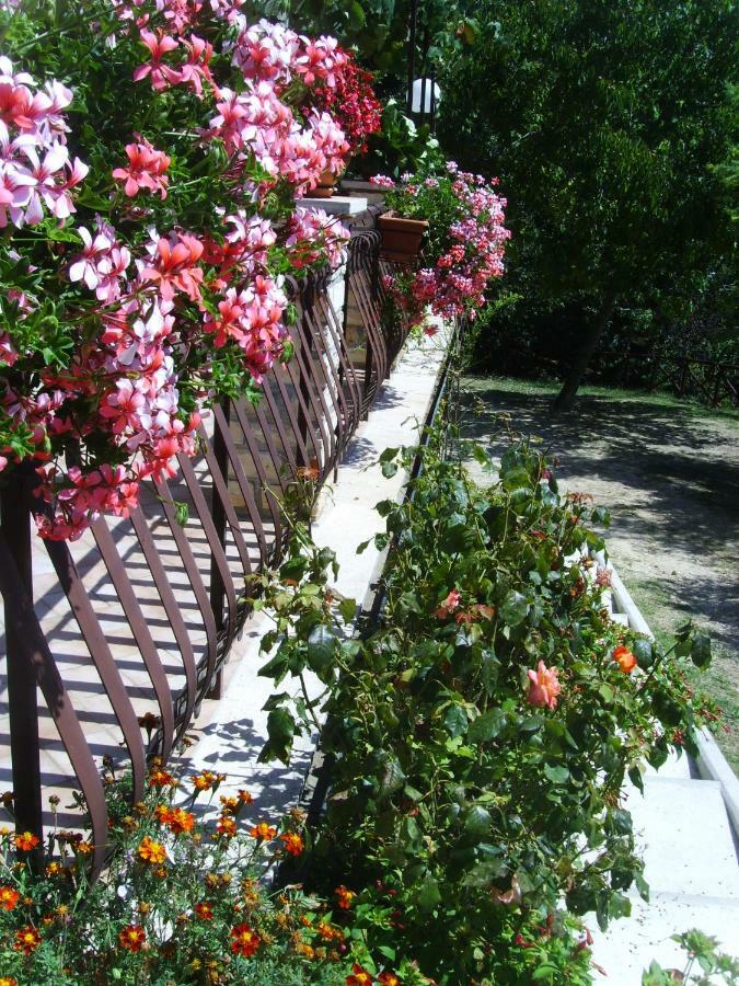 Casa Lieta Bed & Breakfast Субяко Екстериор снимка
